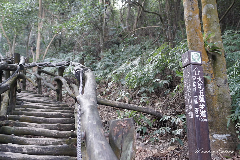 【大坑1號登山步道】親子同遊森林步道,結合體能訓練場,適合帶小孩來放電唷! @Nini and Blue 玩樂食記 DSC08107