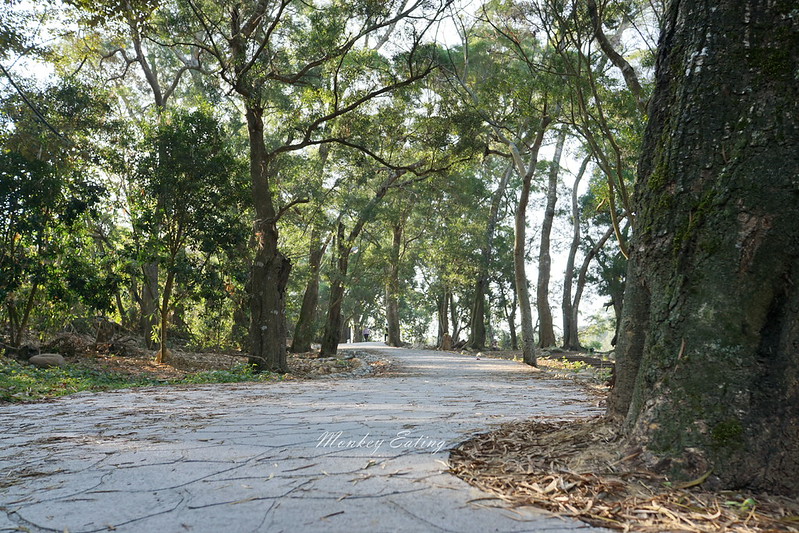 【大坑1號登山步道】親子同遊森林步道,結合體能訓練場,適合帶小孩來放電唷! @Nini and Blue 玩樂食記 DSC08078