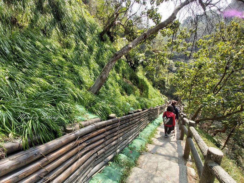 【大坑1號登山步道】親子同遊森林步道,結合體能訓練場,適合帶小孩來放電唷! @Nini and Blue 玩樂食記 20200223_112815_10