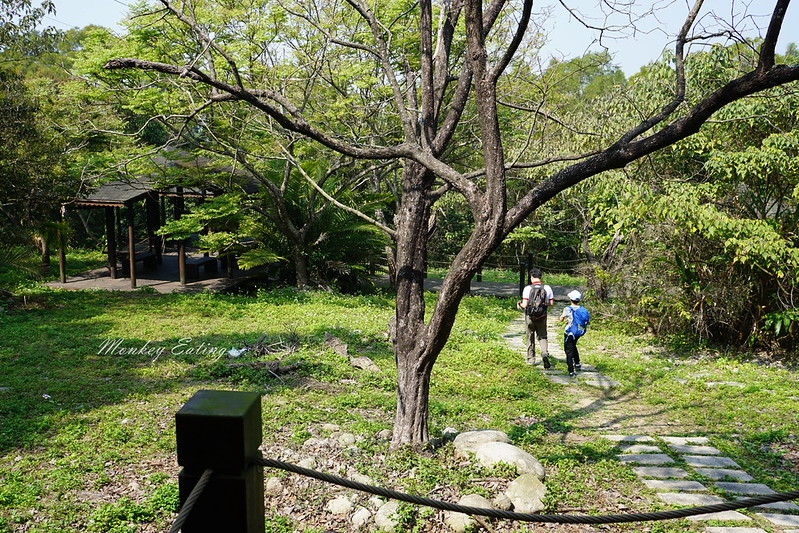 【大坑1號登山步道】親子同遊森林步道,結合體能訓練場,適合帶小孩來放電唷! @Nini and Blue 玩樂食記 DSC08153