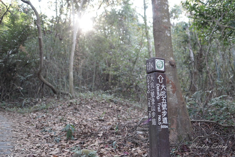 【大坑1號登山步道】親子同遊森林步道,結合體能訓練場,適合帶小孩來放電唷! @Nini and Blue 玩樂食記 DSC08087