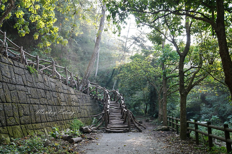 【大坑1號登山步道】親子同遊森林步道,結合體能訓練場,適合帶小孩來放電唷! @Nini and Blue 玩樂食記 DSC08071