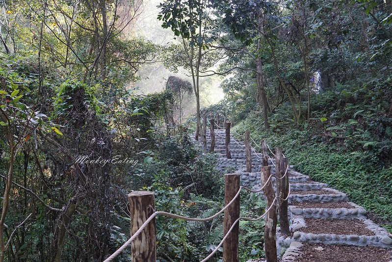 【大坑1號登山步道】親子同遊森林步道,結合體能訓練場,適合帶小孩來放電唷! @Nini and Blue 玩樂食記 DSC08067