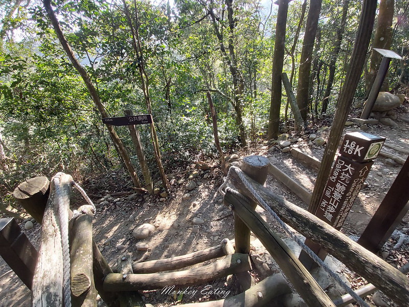 【大坑1號登山步道】親子同遊森林步道,結合體能訓練場,適合帶小孩來放電唷! @Nini and Blue 玩樂食記 20200223_092539_6