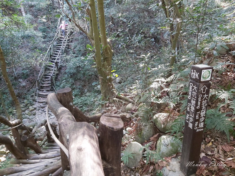 【大坑1號登山步道】親子同遊森林步道,結合體能訓練場,適合帶小孩來放電唷! @Nini and Blue 玩樂食記 20200223_090741_5