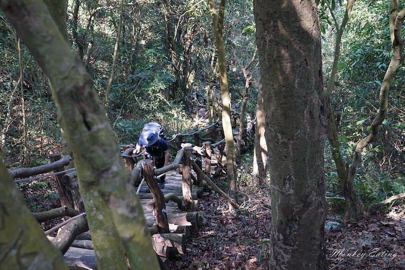 【大坑1號登山步道】親子同遊森林步道,結合體能訓練場,適合帶小孩來放電唷! @Nini and Blue 玩樂食記 DSC08134