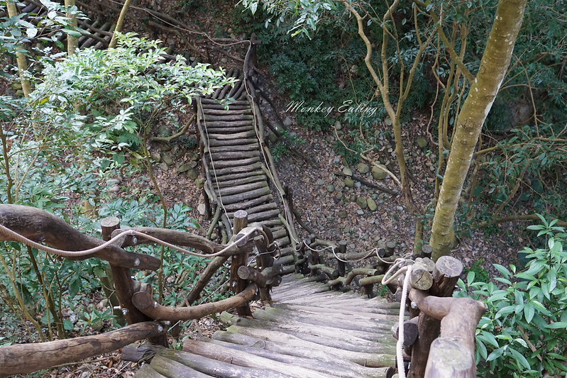 【大坑1號登山步道】親子同遊森林步道,結合體能訓練場,適合帶小孩來放電唷! @Nini and Blue 玩樂食記 DSC08092