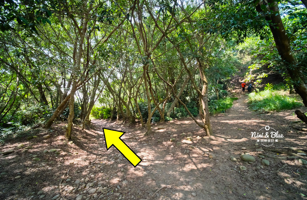 台中大肚登山步道 萬里長城12