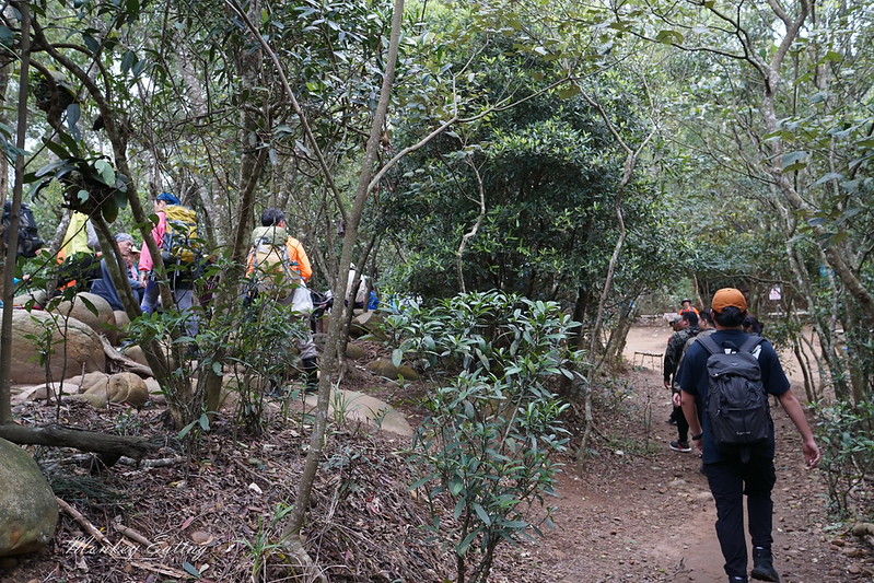 【苗栗三義】火炎山登山步道。熱門打卡台版大峽谷,親子健行順遊桐花步道 @Nini and Blue 玩樂食記 DSC09091