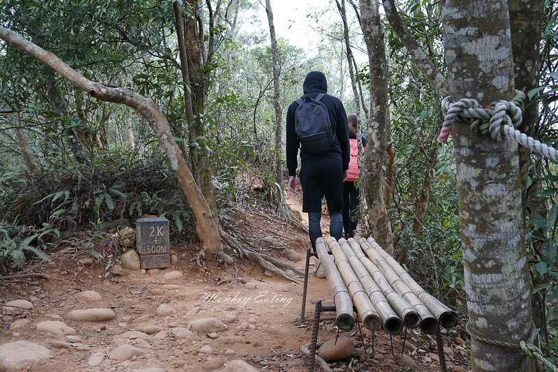 【苗栗三義】火炎山登山步道。熱門打卡台版大峽谷,親子健行順遊桐花步道 @Nini and Blue 玩樂食記 DSC09080