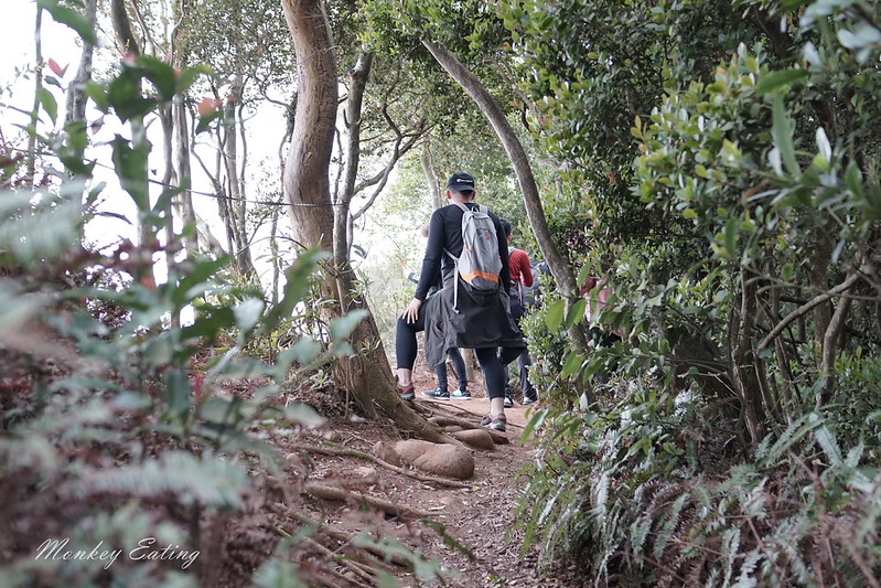 【苗栗三義】火炎山登山步道。熱門打卡台版大峽谷,親子健行順遊桐花步道 @Nini and Blue 玩樂食記 DSC09054