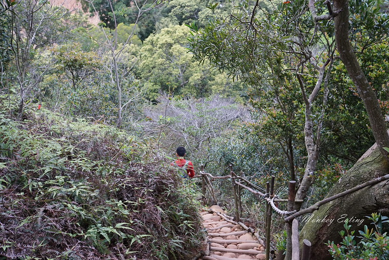 【苗栗三義】火炎山登山步道。熱門打卡台版大峽谷,親子健行順遊桐花步道 @Nini and Blue 玩樂食記 DSC09041