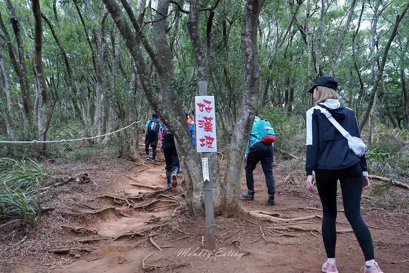 【苗栗三義】火炎山登山步道。熱門打卡台版大峽谷,親子健行順遊桐花步道 @Nini and Blue 玩樂食記 DSC09017