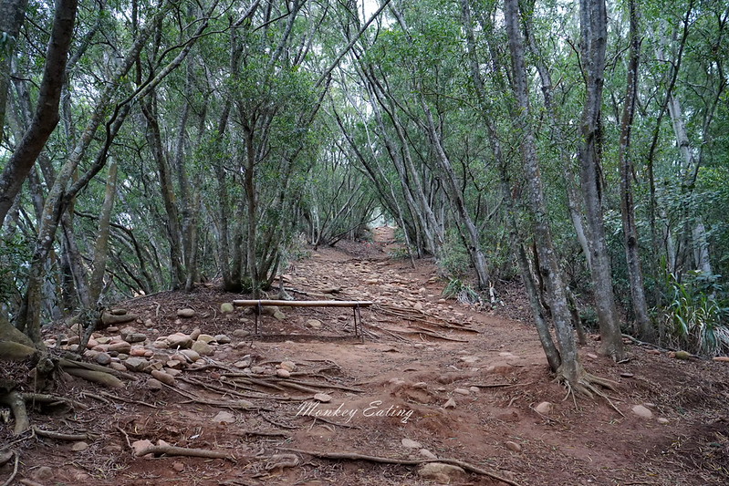 【苗栗三義】火炎山登山步道。熱門打卡台版大峽谷,親子健行順遊桐花步道 @Nini and Blue 玩樂食記 DSC09006