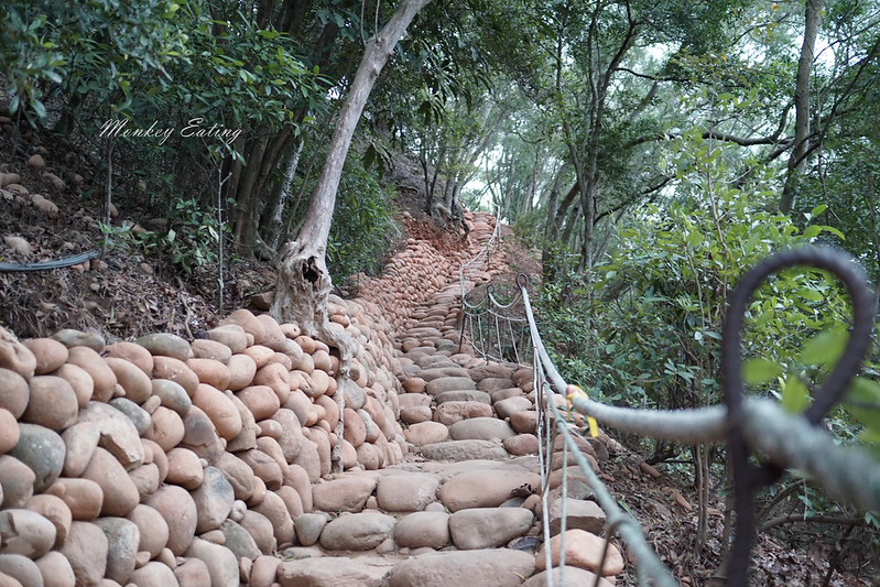 【苗栗三義】火炎山登山步道。熱門打卡台版大峽谷,親子健行順遊桐花步道 @Nini and Blue 玩樂食記 DSC09004
