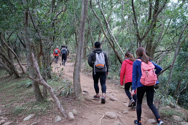 【苗栗三義】火炎山登山步道。熱門打卡台版大峽谷,親子健行順遊桐花步道 @Nini and Blue 玩樂食記 DSC08966
