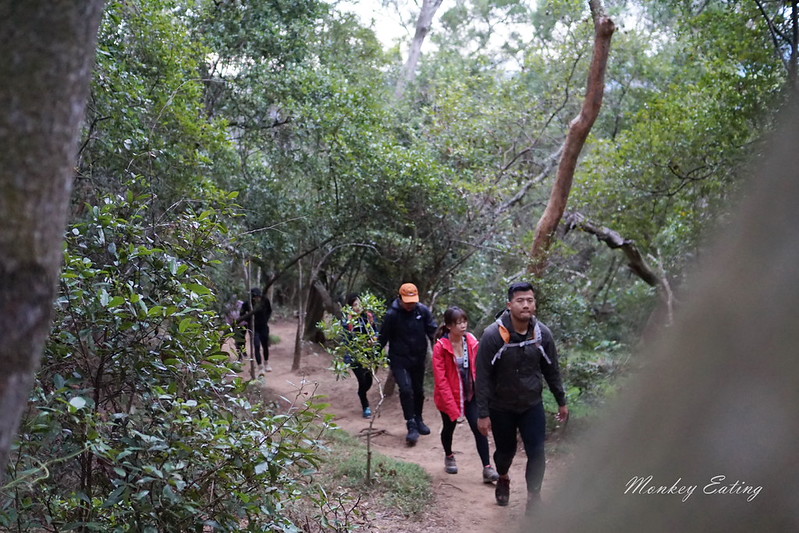 【苗栗三義】火炎山登山步道。熱門打卡台版大峽谷,親子健行順遊桐花步道 @Nini and Blue 玩樂食記 DSC08962