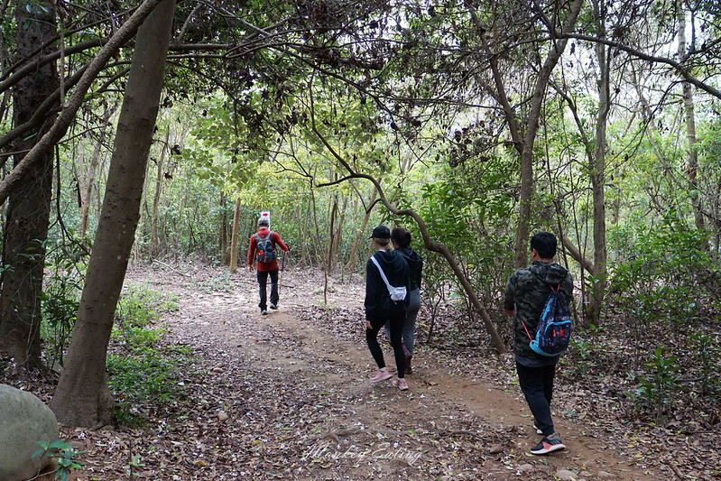 【苗栗三義】火炎山登山步道。熱門打卡台版大峽谷,親子健行順遊桐花步道 @Nini and Blue 玩樂食記 DSC09109