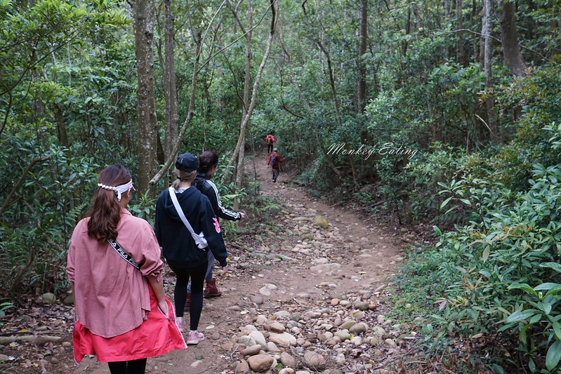 【苗栗三義】火炎山登山步道。熱門打卡台版大峽谷,親子健行順遊桐花步道 @Nini and Blue 玩樂食記 DSC09101