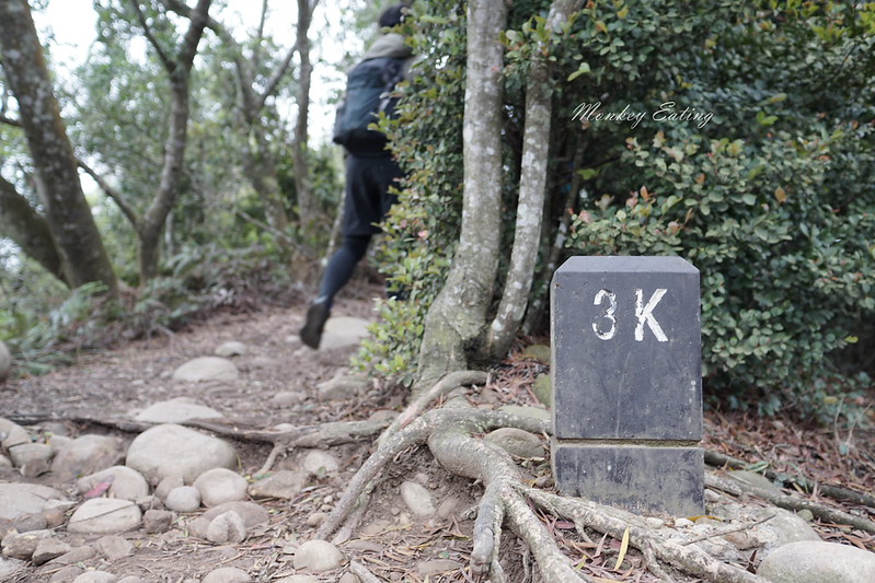 【苗栗三義】火炎山登山步道。熱門打卡台版大峽谷,親子健行順遊桐花步道 @Nini and Blue 玩樂食記 DSC09089