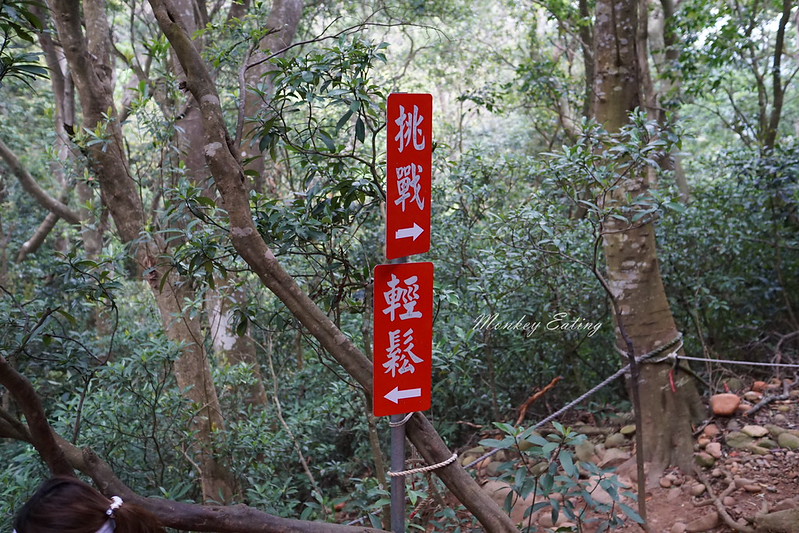 【苗栗三義】火炎山登山步道。熱門打卡台版大峽谷,親子健行順遊桐花步道 @Nini and Blue 玩樂食記 DSC09045