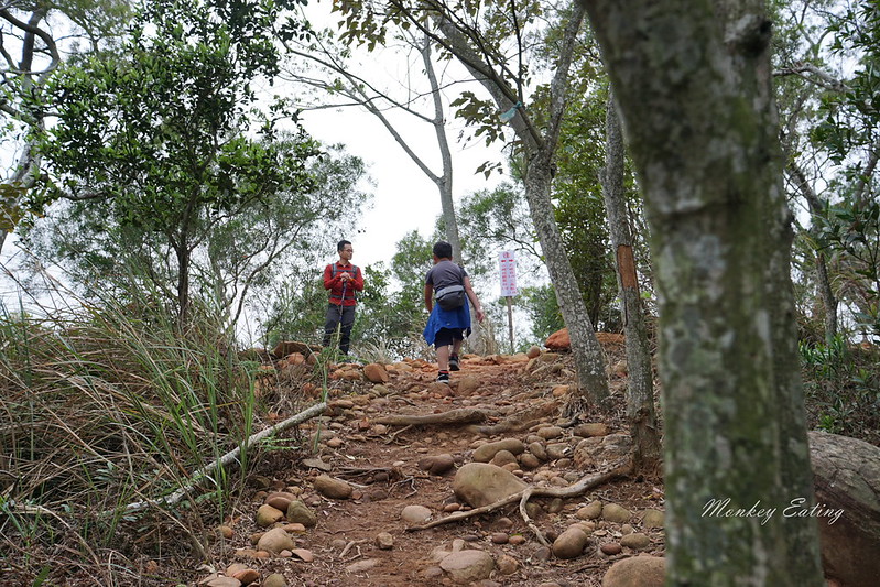 【苗栗三義】火炎山登山步道。熱門打卡台版大峽谷,親子健行順遊桐花步道 @Nini and Blue 玩樂食記 DSC09028