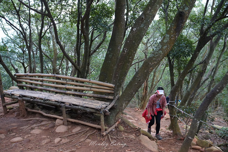 【苗栗三義】火炎山登山步道。熱門打卡台版大峽谷,親子健行順遊桐花步道 @Nini and Blue 玩樂食記 DSC09024