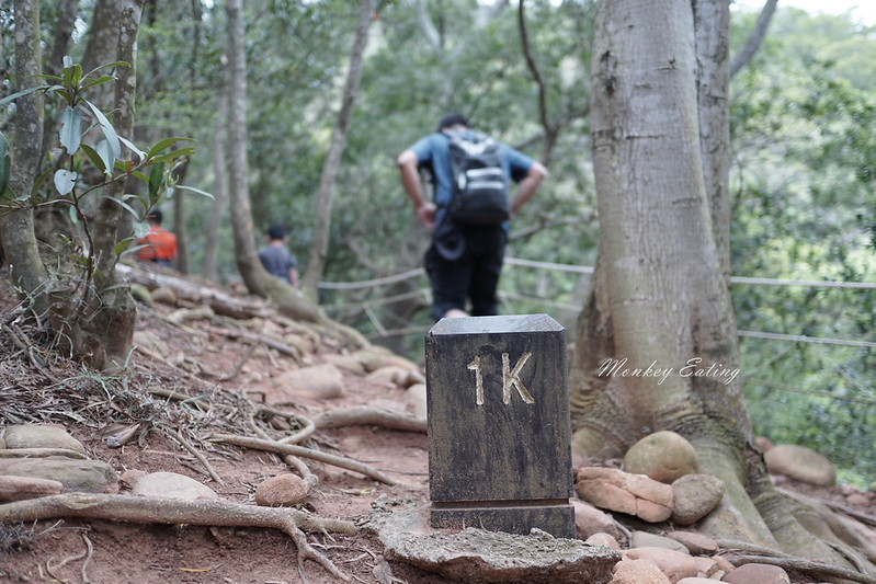 【苗栗三義】火炎山登山步道。熱門打卡台版大峽谷,親子健行順遊桐花步道 @Nini and Blue 玩樂食記 DSC09010