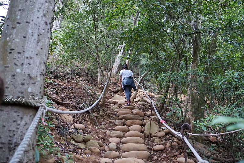 【苗栗三義】火炎山登山步道。熱門打卡台版大峽谷,親子健行順遊桐花步道 @Nini and Blue 玩樂食記 DSC08998