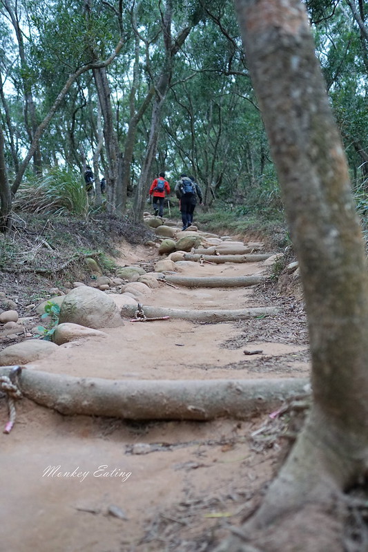 【苗栗三義】火炎山登山步道。熱門打卡台版大峽谷,親子健行順遊桐花步道 @Nini and Blue 玩樂食記 DSC08971