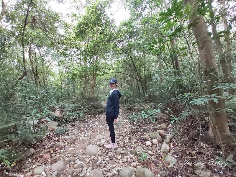 【苗栗三義】火炎山登山步道。熱門打卡台版大峽谷,親子健行順遊桐花步道 @Nini and Blue 玩樂食記 20200329火炎山-均聖手機_200329_0004