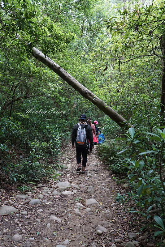 【苗栗三義】火炎山登山步道。熱門打卡台版大峽谷,親子健行順遊桐花步道 @Nini and Blue 玩樂食記 DSC09105