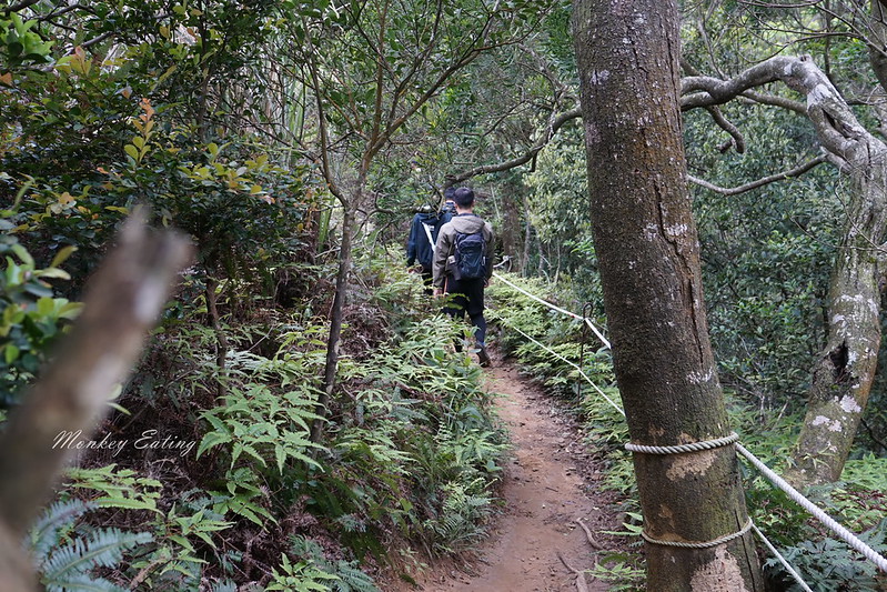 【苗栗三義】火炎山登山步道。熱門打卡台版大峽谷,親子健行順遊桐花步道 @Nini and Blue 玩樂食記 DSC09088