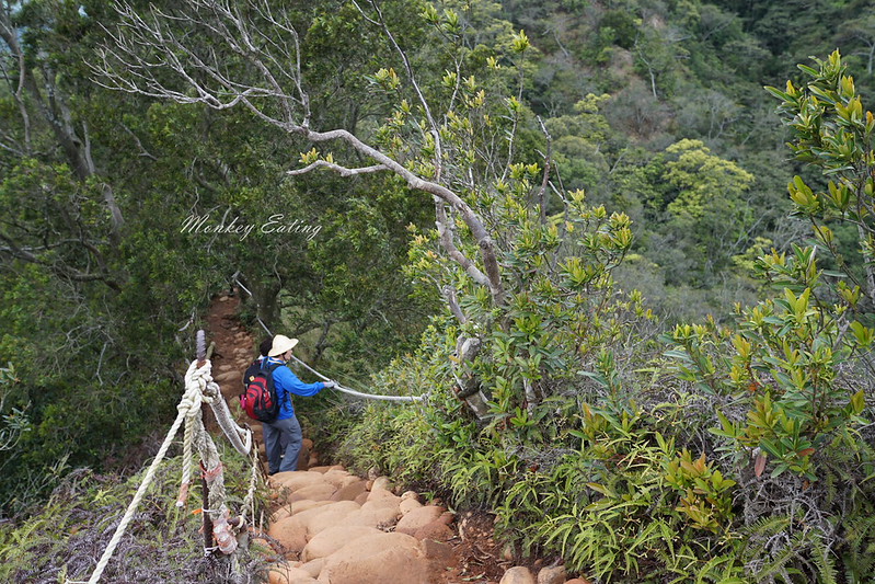 【苗栗三義】火炎山登山步道。熱門打卡台版大峽谷,親子健行順遊桐花步道 @Nini and Blue 玩樂食記 DSC09069