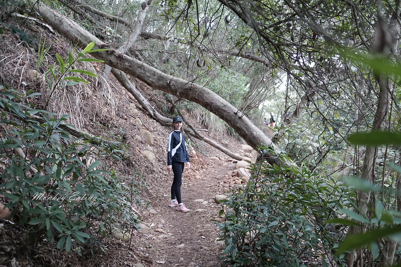 【苗栗三義】火炎山登山步道。熱門打卡台版大峽谷,親子健行順遊桐花步道 @Nini and Blue 玩樂食記 DSC09014