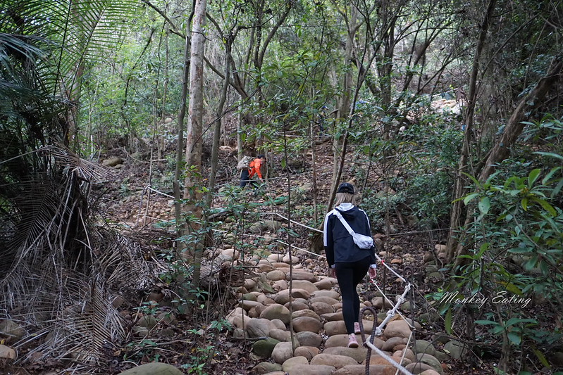【苗栗三義】火炎山登山步道。熱門打卡台版大峽谷,親子健行順遊桐花步道 @Nini and Blue 玩樂食記 DSC09011
