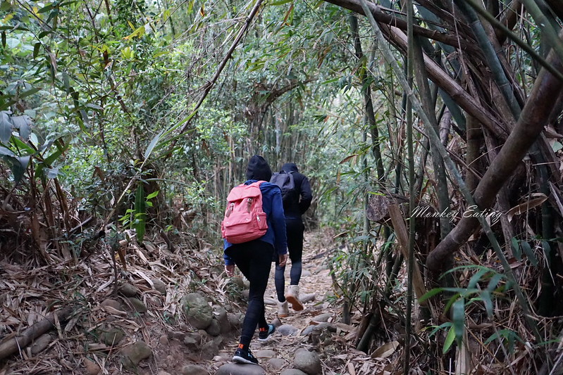【苗栗三義】火炎山登山步道。熱門打卡台版大峽谷,親子健行順遊桐花步道 @Nini and Blue 玩樂食記 DSC08954