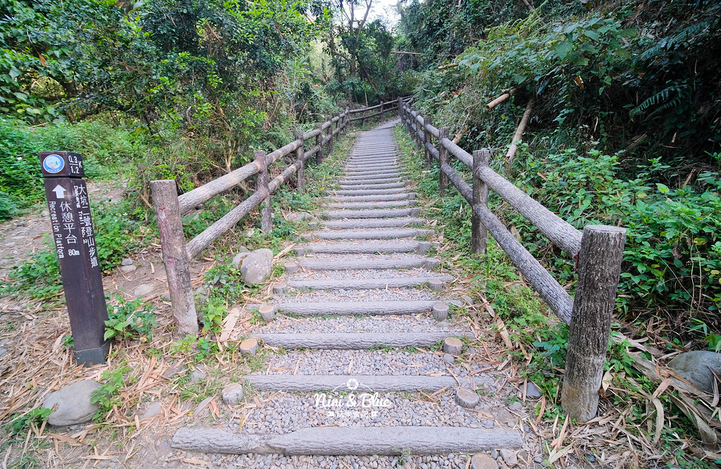大坑2號步道 大坑登山步道09