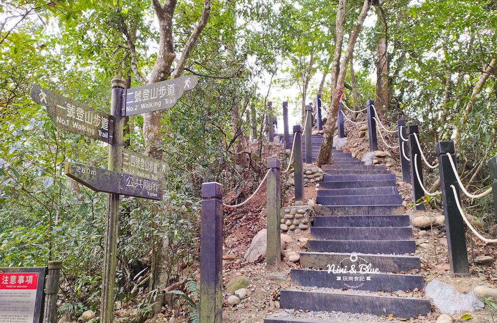 大坑2號步道 大坑登山步道36