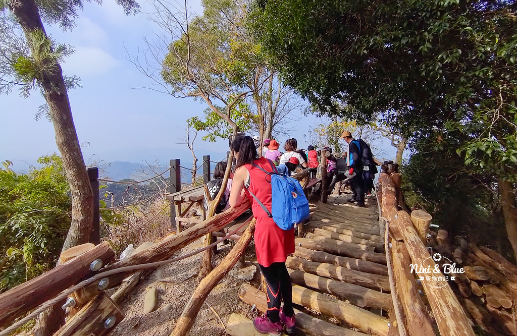 大坑2號步道 大坑登山步道18