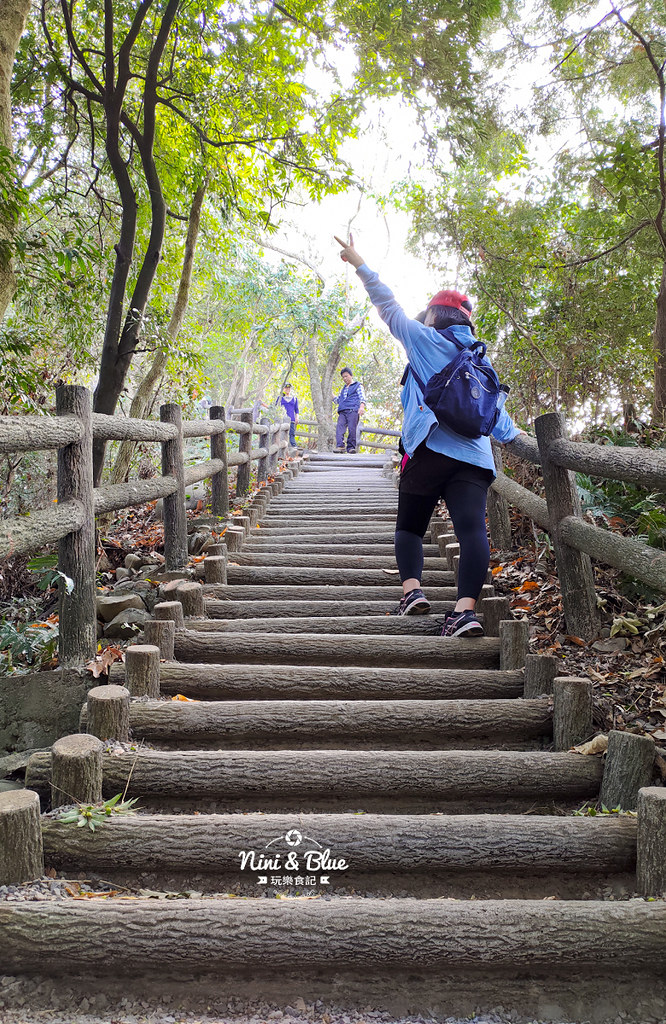 大坑2號步道 大坑登山步道16