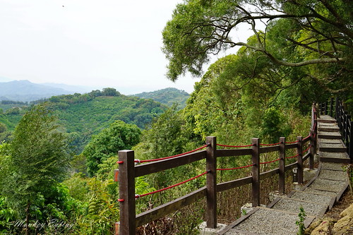 DSC09713