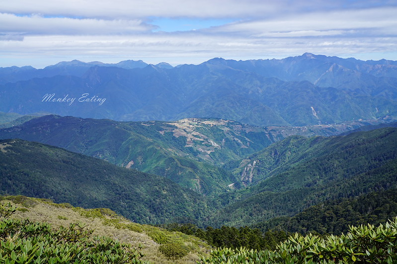 DSC00020