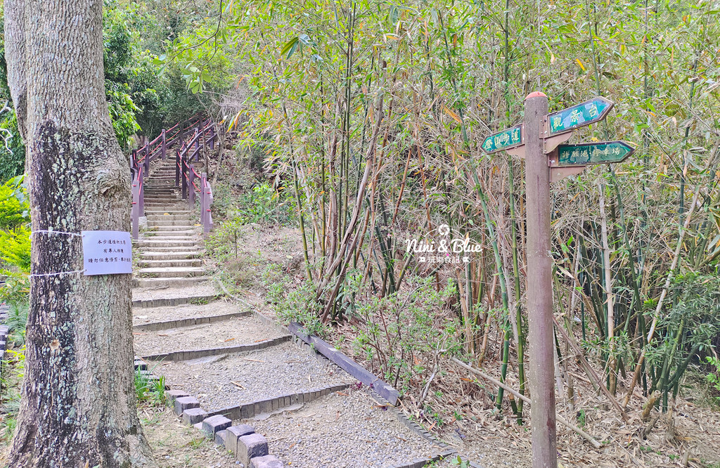 台中潭子 新田登山步道18 台中潭子 新田登山步道18
