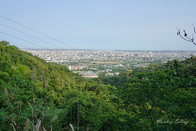 DSC00253