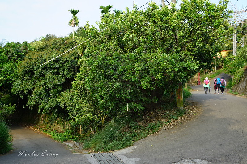 DSC00247
