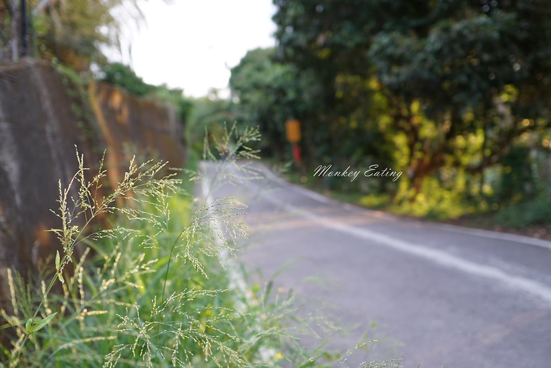 DSC00220