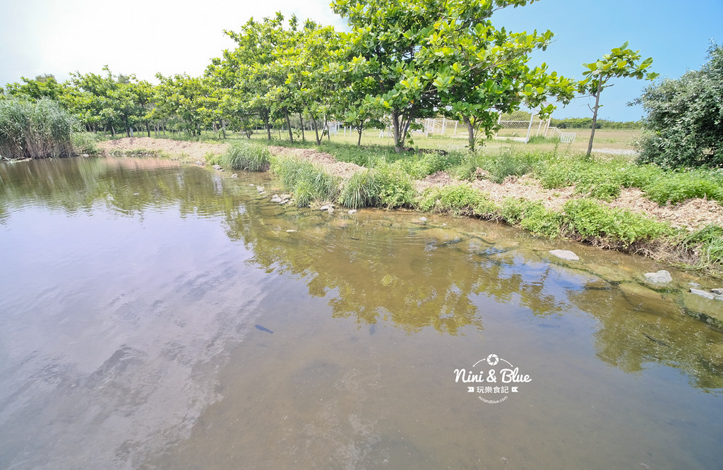 新竹景點 客雅溪水資源公園12