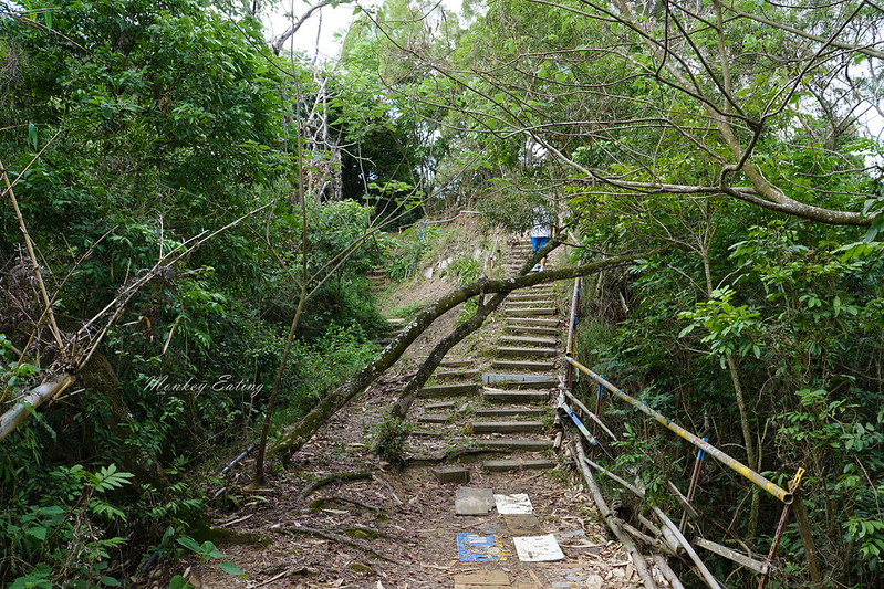 DSC00276