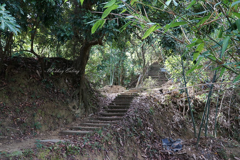 DSC00268